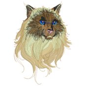 Pets